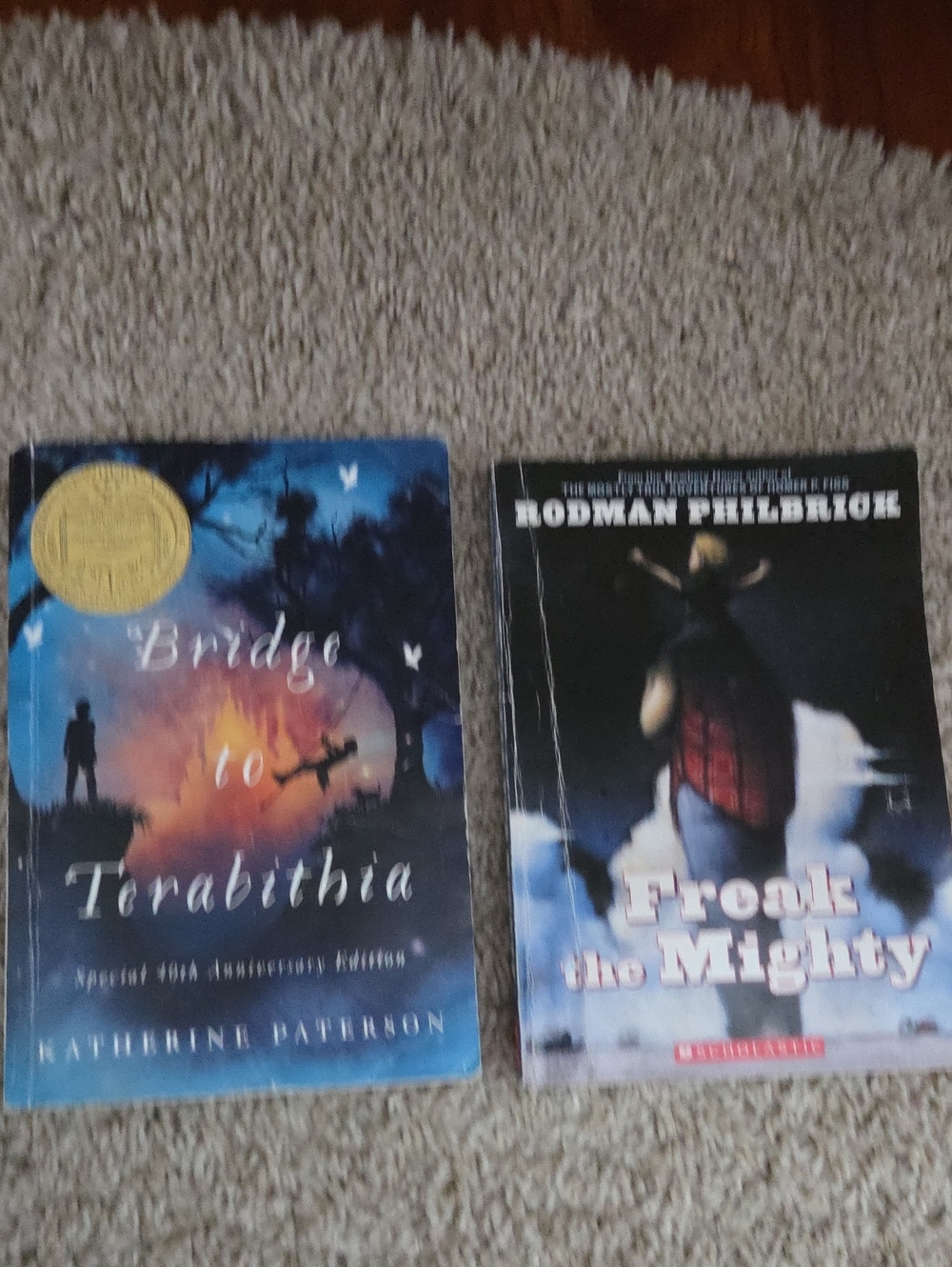 Bridge to Terabithia Paperback And Freak The Mighty Books
